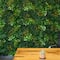 40" Hawaiian Islands Artificial Living Wall Panel